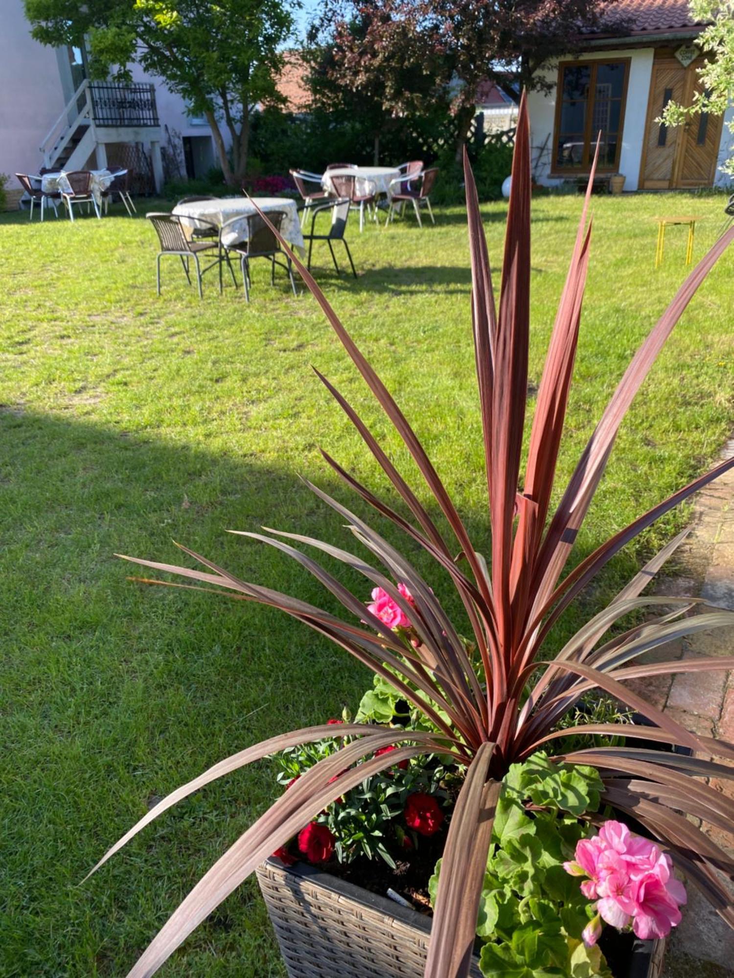 Guest House Wiejska Sielanka Brody  Ngoại thất bức ảnh